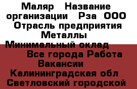 Маляр › Название организации ­ Рза, ООО › Отрасль предприятия ­ Металлы › Минимальный оклад ­ 40 000 - Все города Работа » Вакансии   . Калининградская обл.,Светловский городской округ 